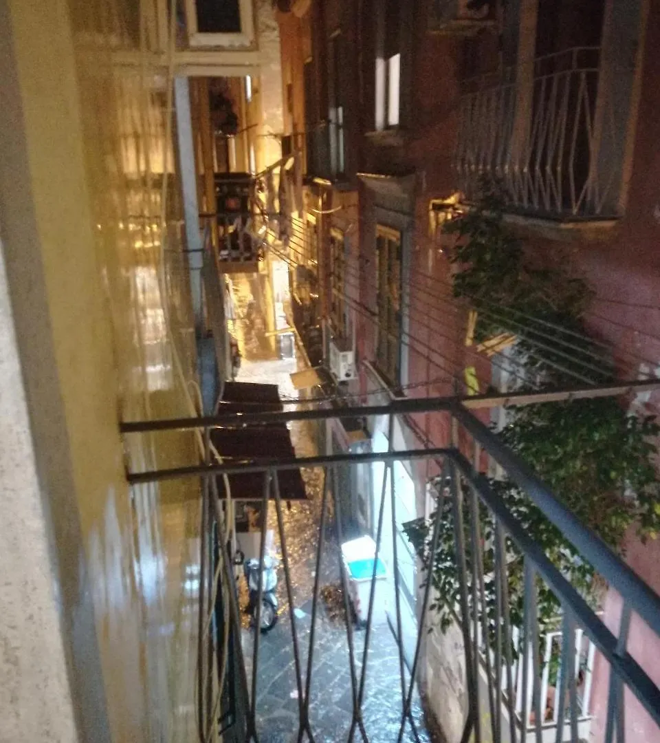 Stella Diana Bed & Breakfast Naples